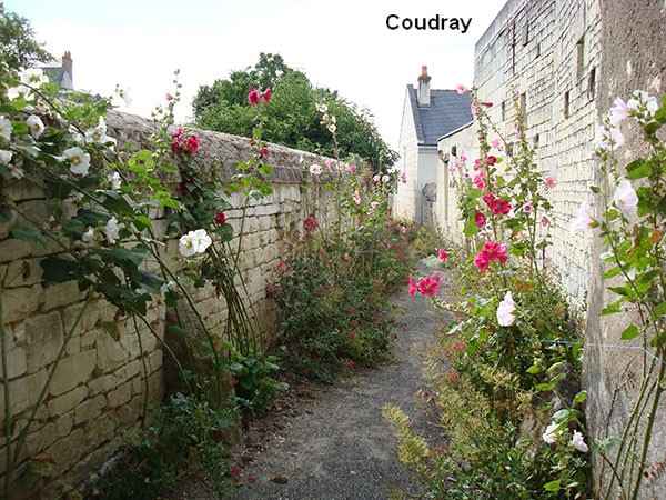 coudray7