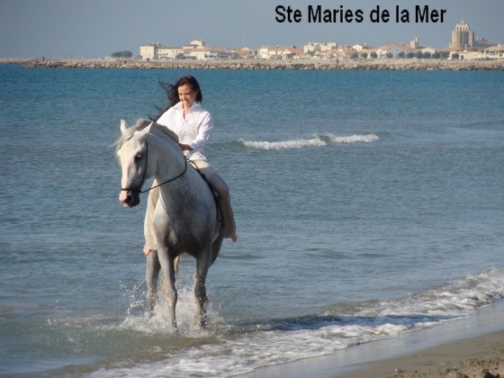 med-saintes-maries-de-la-mer---equitation-visoterra-21117